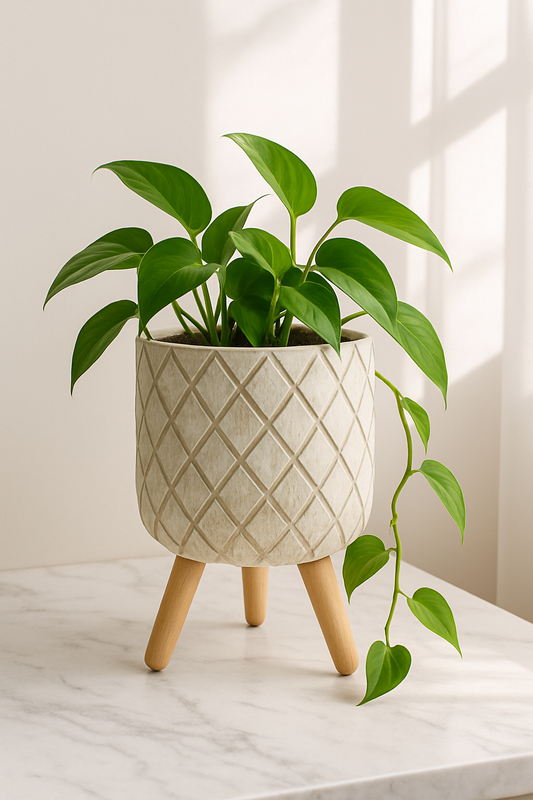 Set of 2 Diamond Carved Clay Planters with Wooden Legs (13" & 17")